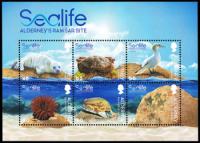 2020 Sealife in the Ramsar Area MS