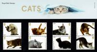 2022 Cats Pack