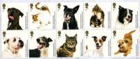 2010 Battersea Cats & Dogs Home