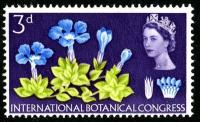 1964 Botanical 3d