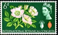 1964 Botanical 6d phos
