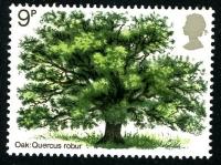 1973 Tree