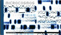2003 Microcosmos