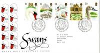 1993 Swans (Addressed)