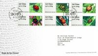 FS159 2016 Ladybirds