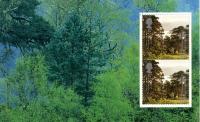 SG 2159a Trees  Scottish forest