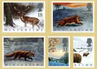 PHQ140 1992 Wintertime