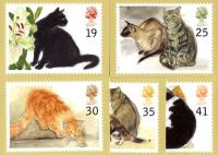 PHQ167 1995 Cats