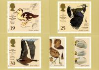 PHQ177 1996 Wildfowl