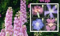 SG2456a Glory of the Garden Delphiniums