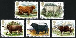 1984 Cattle