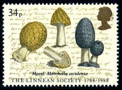 1988 Linnaean Society 34p