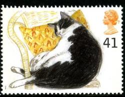 1995 Cats 41p