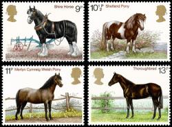 1978 Horses