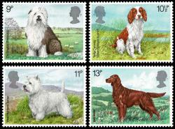1979 Dogs