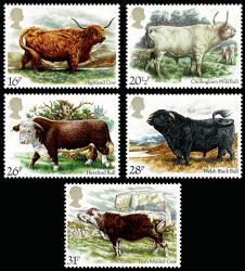 1984 British Cattle
