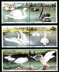 1991 Swans