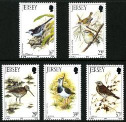 1992 Winter Birds