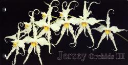 1993 Jersey Orchids pack
