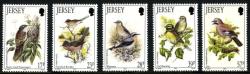 1993 Summer Birds