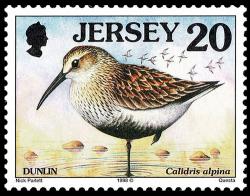 1997 Seabirds and Waders 20p with Copyright Symbol