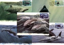 1998 Year of the Ocean Cards
