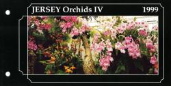 1999 Jersey Orchids Miniature Sheet pack