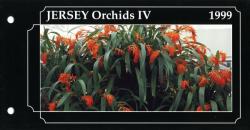 1999 Jersey Orchids pack