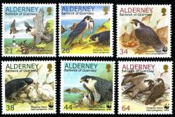 2000 Endangered Species, Peregrine Falcon