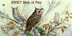 2001 Birds of Prey pack