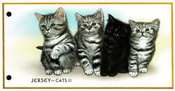 2002 Cat Club pack
