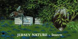 2002 Insects pack