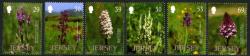 2003 Wild Orchids