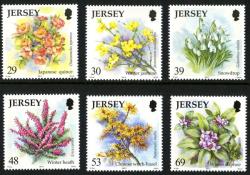 2003 Seasonal Flowers (2nd series), Winter