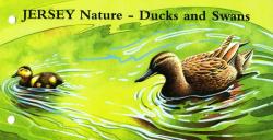 2004 Ducks & Swans Miniature Sheet pack