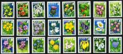 2005 Flowers