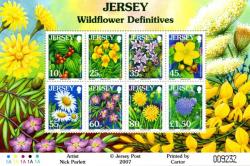 2005 Wildflowers 3 of 3 MS
