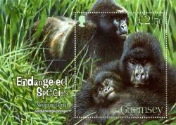 2007 Endangered Gorilla MS
