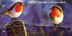 2007 Jersey Birdlife pack