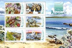 2007 Ramsar Site, Alderney West Coast & Burhou Islands MS