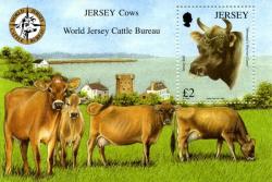 2008 Jersey Cattle Bureau MS