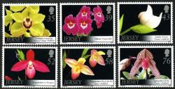 2008 Jersey Orchids