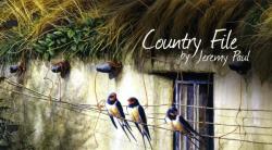 2009 Country Painting pack