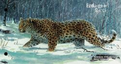 2009 Endangered Species (5th series), Amur Leopard MS Pack