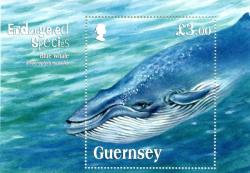 2011 Endangered Species (7th series), Blue Whale MS