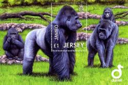 2012 Jambo the Gorilla MS