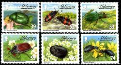 2013 Alderney Beetles