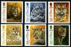 2013 Big Cats
