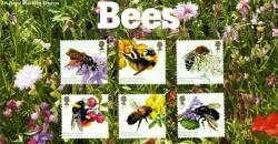 2015 Honey Bees Pack