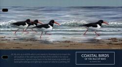 2017 Coastal Birds Pack